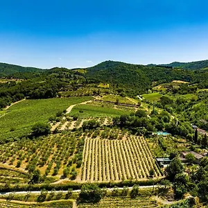 Podere Campriano Winery Alloggio per agriturismo Greve in Chianti